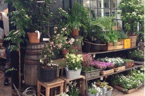 花店顾客吃瓜事件,一场意外的甜蜜误会