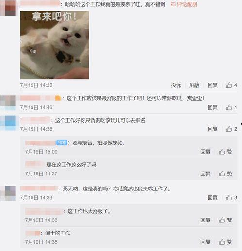 吃瓜在线搜索,网络热点的幕后故事