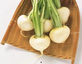 洋瓜芽怎么吃,探索美味与营养的完美结合