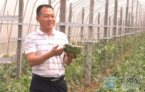 村书记吃瓜,揭秘农村基层干部的日常生活