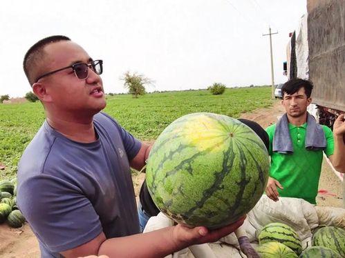 人皇吃瓜,揭秘娱乐圈幕后风云