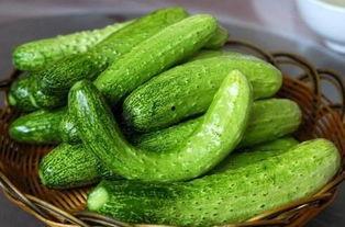 减肥可以吃风瓜吗,健康美味两不误