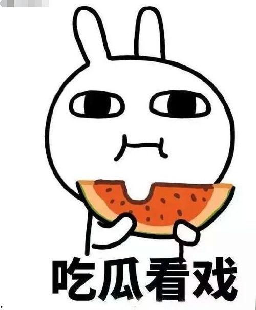 吃瓜圣书,揭秘娱乐圈幕后真相与八卦风云