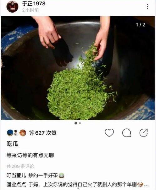露文吃瓜直播,揭秘娱乐圈幕后故事