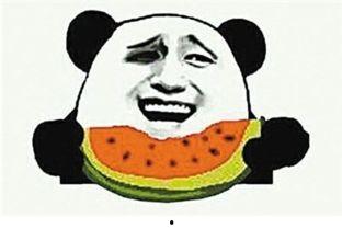 吃瓜群众号110,网络舆论场中的监督力量