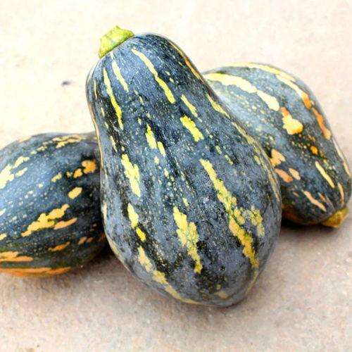 孕妇吃小贝贝瓜好吗,孕妇食用小贝贝瓜的适宜性探讨