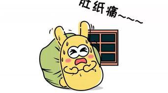 吃瓜群众24,一场全民参与的娱乐盛宴