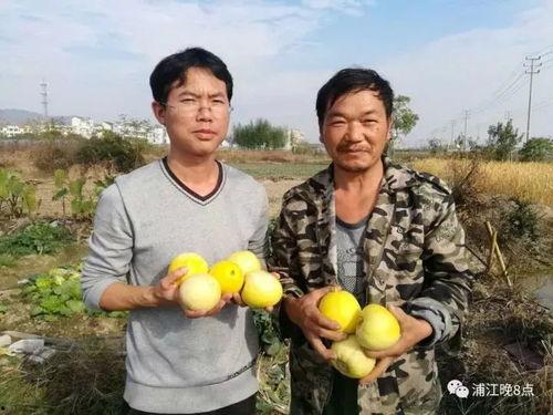 吃瓜群众支持新郎,婚礼现场温馨感人